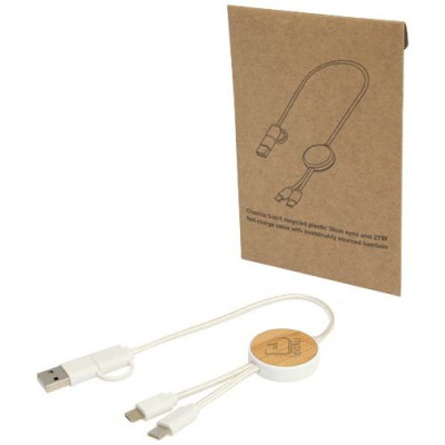 Cavo 5-in-1 in plastica riciclata da 30 cm 2