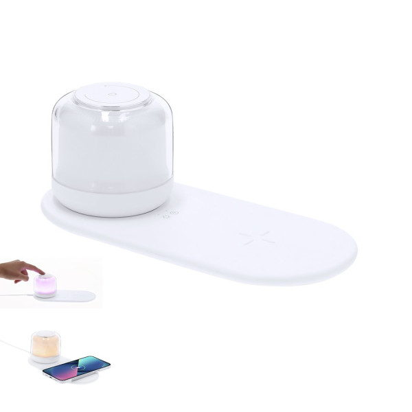 Reginal - Lampada Caricatore