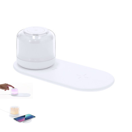 Reginal - Lampada Caricatore